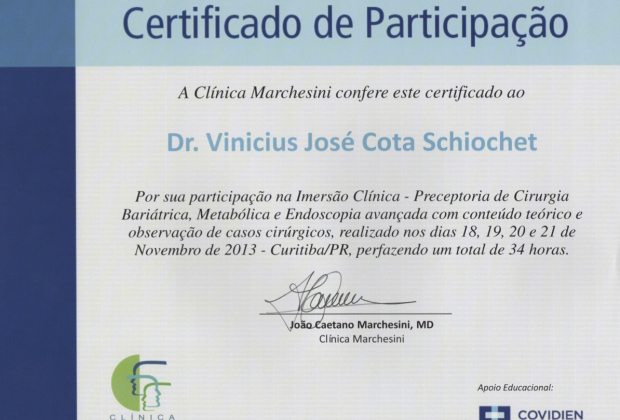 CirurgiaBaritricaImersoMarquesini2013.jpg